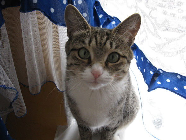 Владимир Потапенко