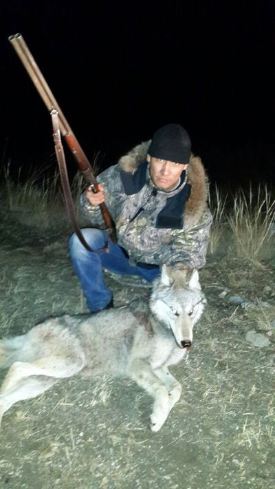 Габбас Ильяс