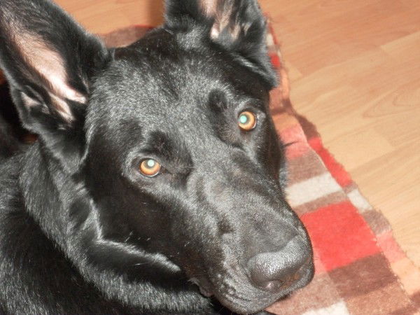 Анна Суханова