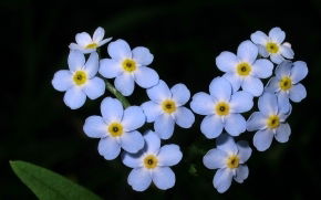 Раногуль Наурузова