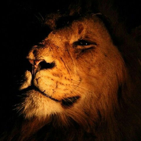 Беляков Яков