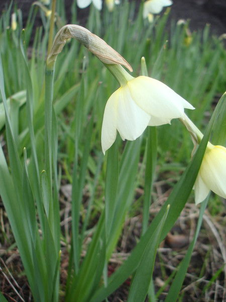 Марина Сорокина