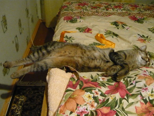 Настя Макарова