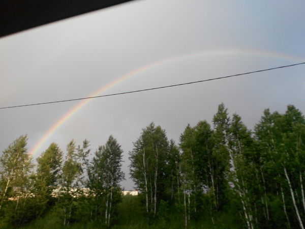 Наталья Толмачёва