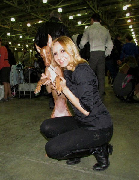 Bittersweet Symphony