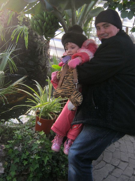 Андрей Мунт