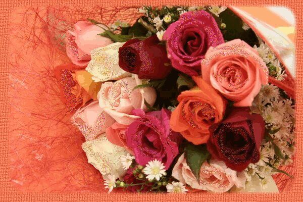 Наталья Шепелева