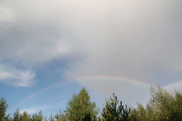 Анастасия М