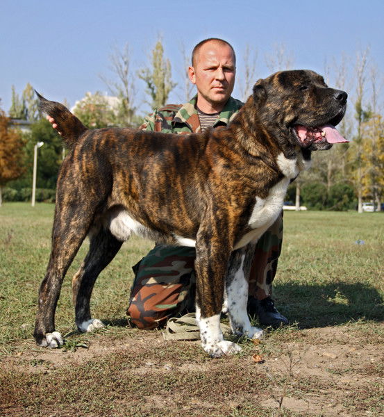 Александр Плотников