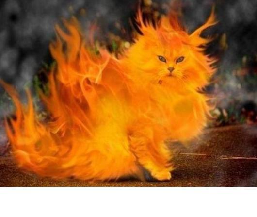 Ольга Полкова