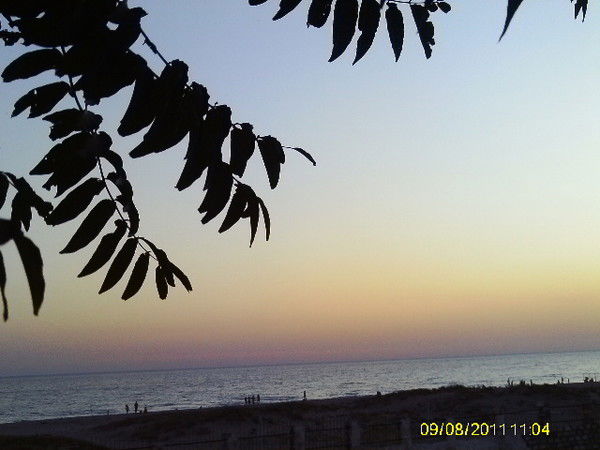 Елизавета Максимова