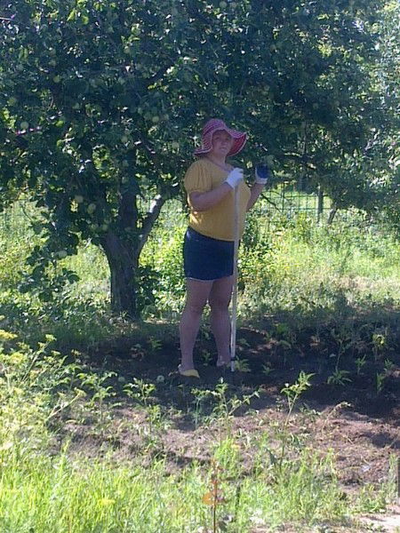 Елена Дмитриева