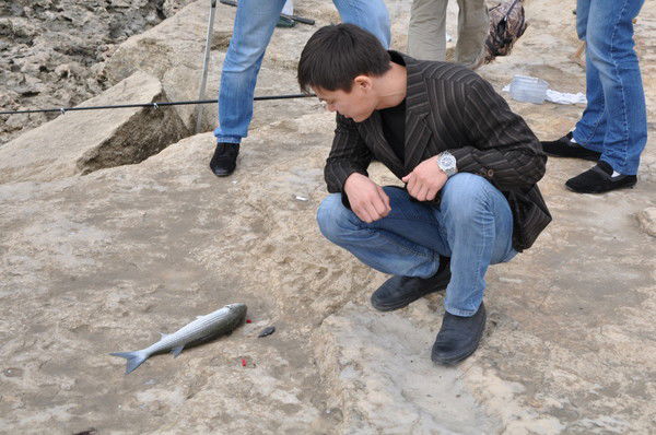 Құралбек Хабибуллаұлы