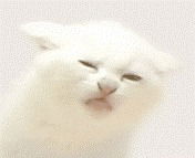 Анжелика Самойлова