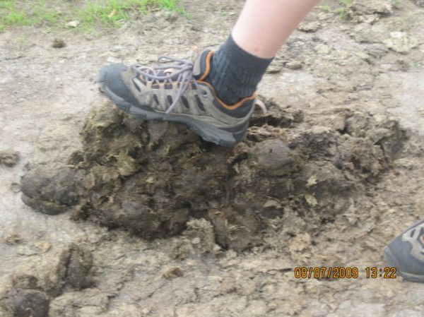 Вечеслав Чутков