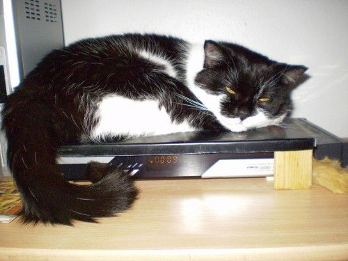 Андрей Крезников