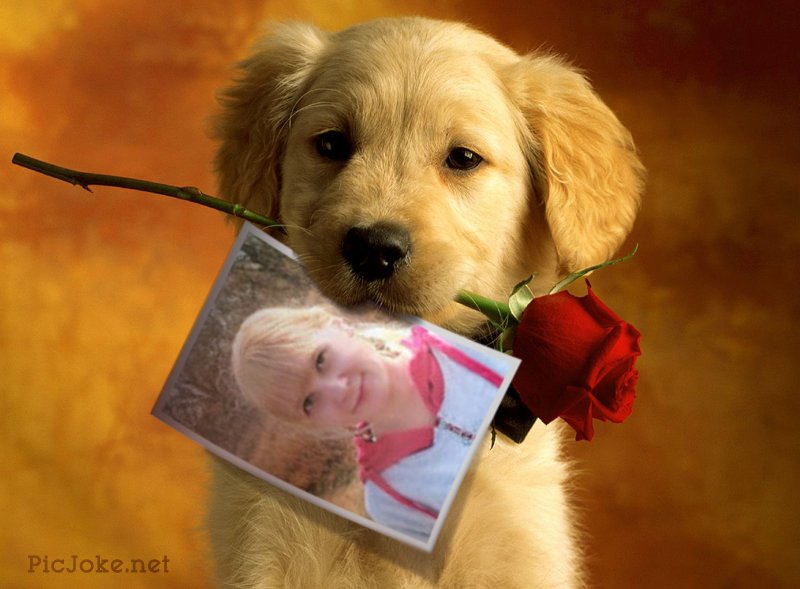 Наташа Чехова