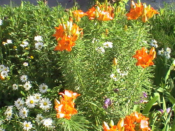 Наталья Генералова