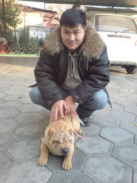 Евгений Шаракшинов