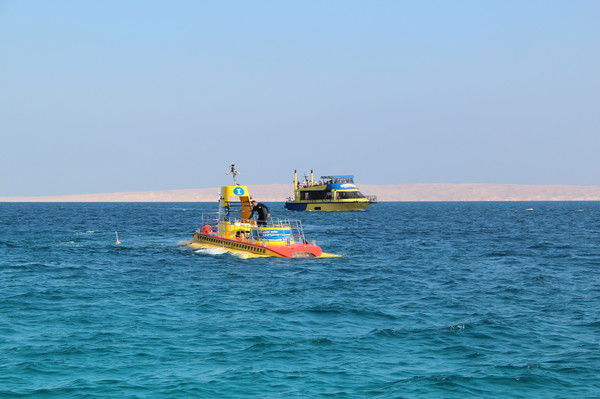 Наталья Волкова