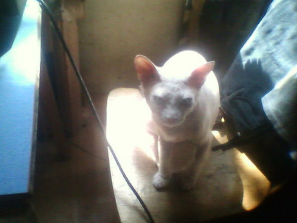 Марина Митюкова-Полякова