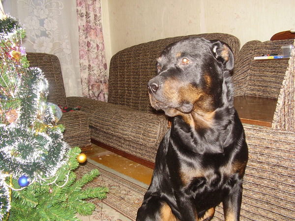 Галина Зюбрицкая