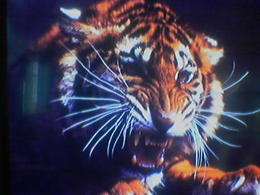 Азамат Валеев