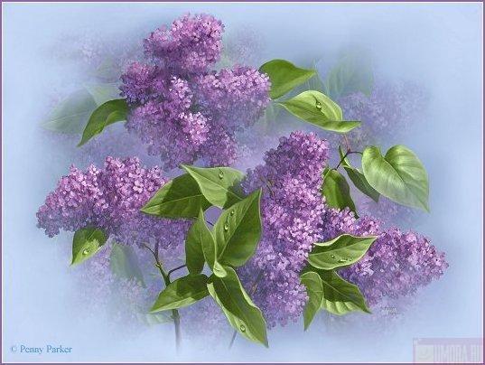 Надежда Павловна Никитина