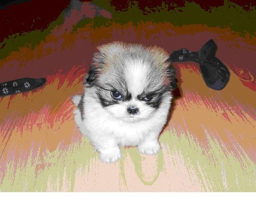 Ольга Нечаева