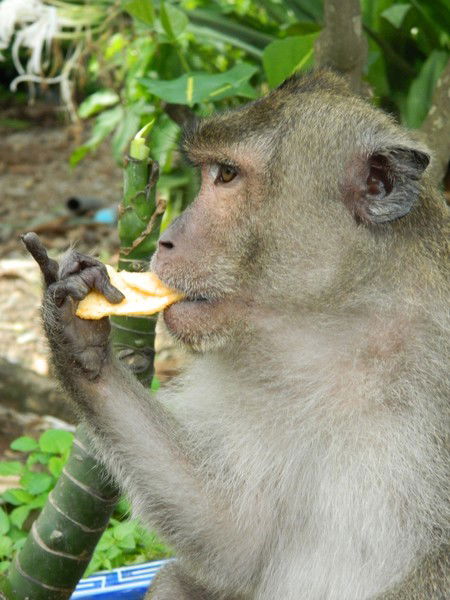 Петухов Олег