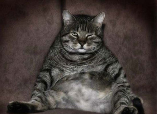 Андрей Поморцев