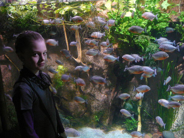 Вероника Юрченко