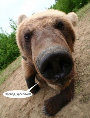 Виталий Пиксаев