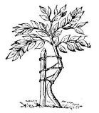 Алексей Федоров