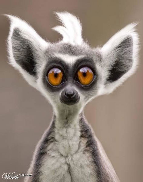 Татьяна Зинченко