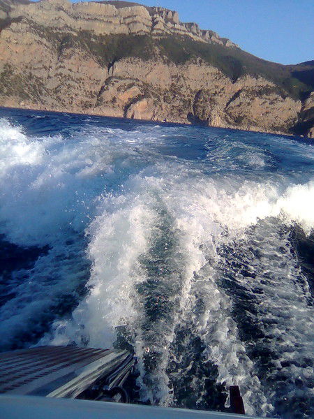 Алина Алина