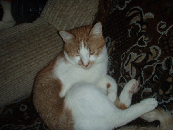 Игорь Усатов