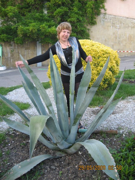 Татьяна Захарченко