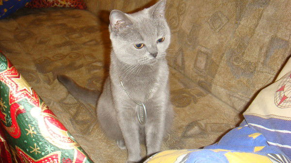 Лолита Корначева