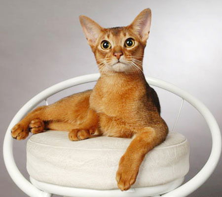 Тамара Вагаева