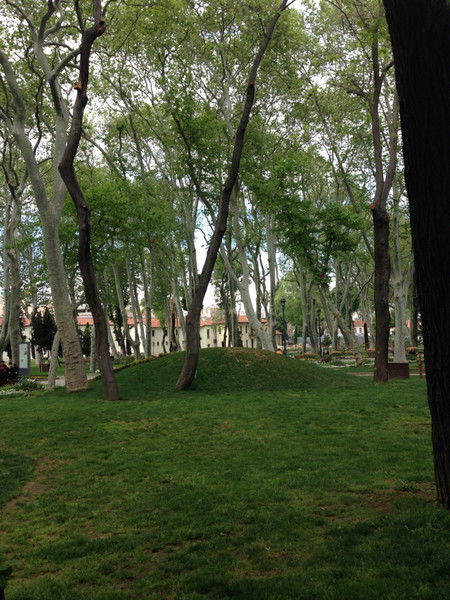 Катя Кушнарева