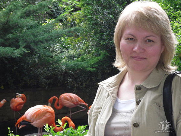 Елена Крайникова