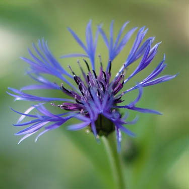 Анна Зайцева