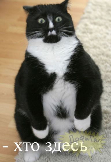 Даниил Мартьянов