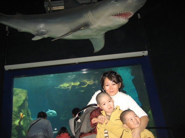 Камшат Кокшеева