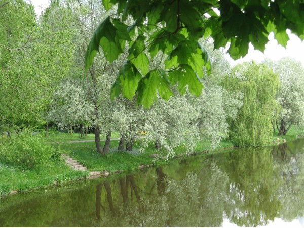 Жан Темиргалиева