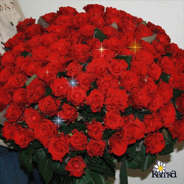 Светлана Попова