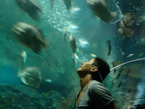 Ихтиёр Даминов