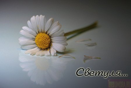 Светлана )))