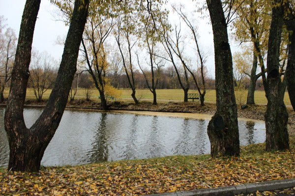 Ангелина Шушлебина